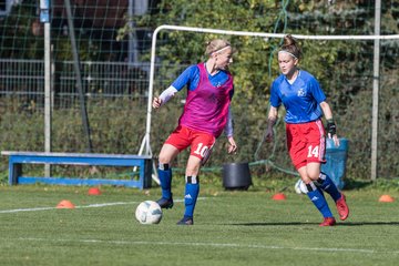 Bild 63 - wBJ HSV - SV Meppen : Ergebnis: 0:2
